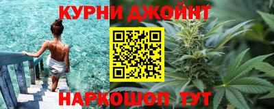 гидра Дубна