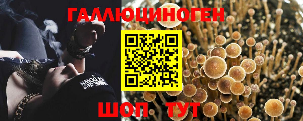 Галлюциногенные грибы мицелий Новый Уренгой